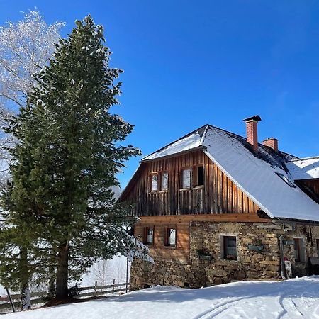 Apartments Im Almhaus Bachler Gundisch Bagian luar foto